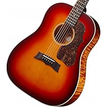 Morris アコースティックギター ブラウン F-021 | PERFORMERS EDITION | MORRIS GUITARS モーリスギター